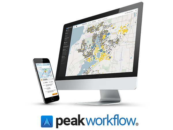 Peak Workflow work management system views